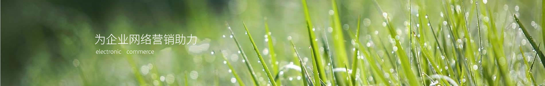 ݸаŵīƼ޹˾